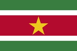 flag icon